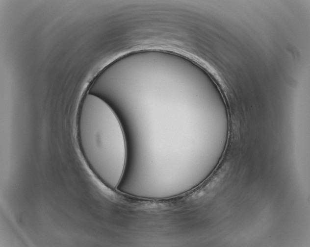 X0000110971525200906191100