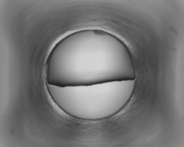 X0000110971526200906191100