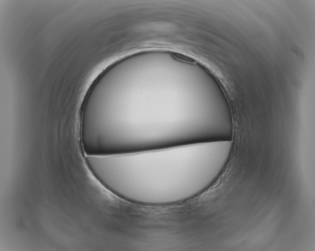 X0000110971527200906191100
