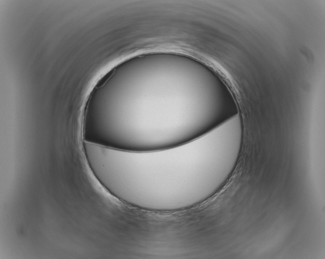 X0000110971528200906191100