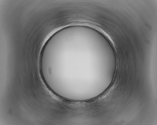 X0000110971533200906191100