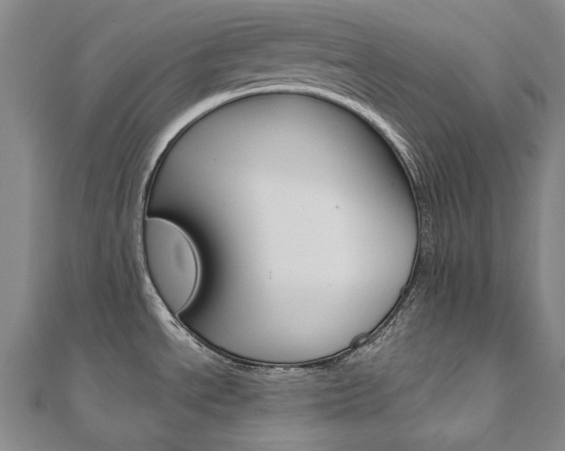 X0000110971534200906191100