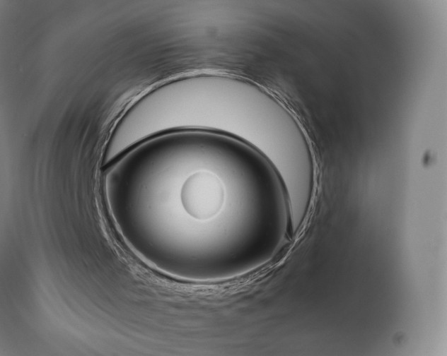 X0000110970001200906191346