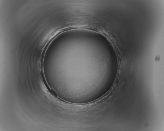 X0000110970002200906191346