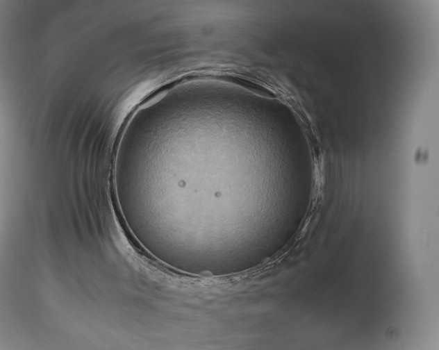 X0000110970003200906191346