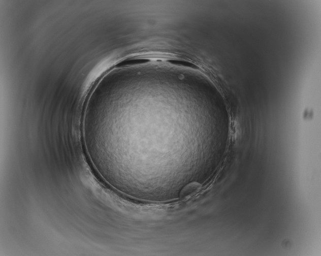 X0000110970004200906191346