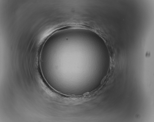 X0000110970005200906191346