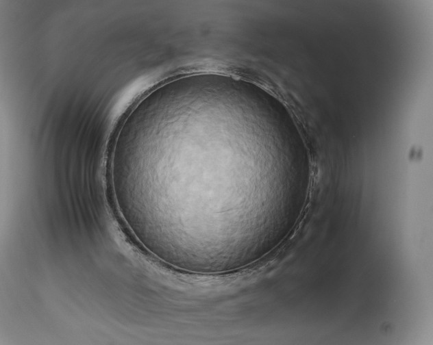 X0000110970006200906191346