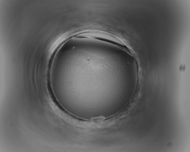 X0000110970007200906191346