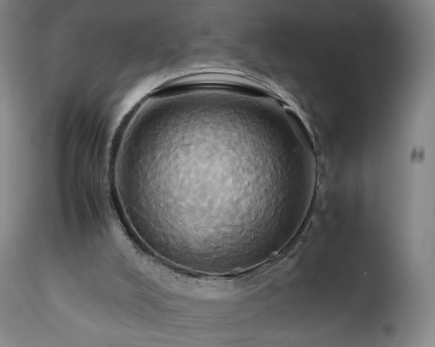 X0000110970008200906191346