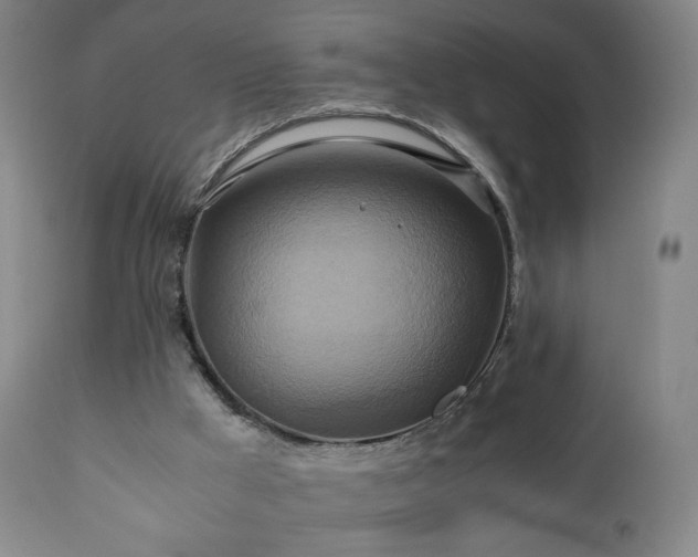 X0000110970009200906191346