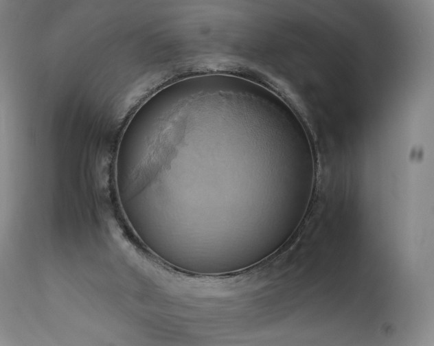 X0000110970010200906191346