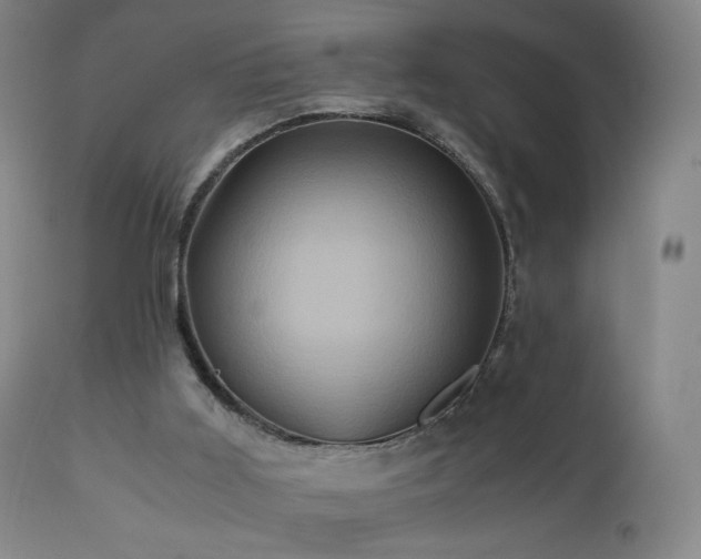 X0000110970011200906191346