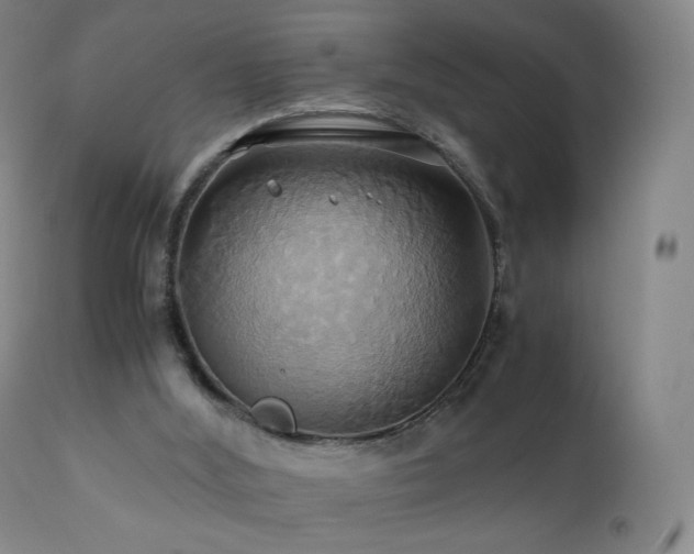 X0000110970012200906191346