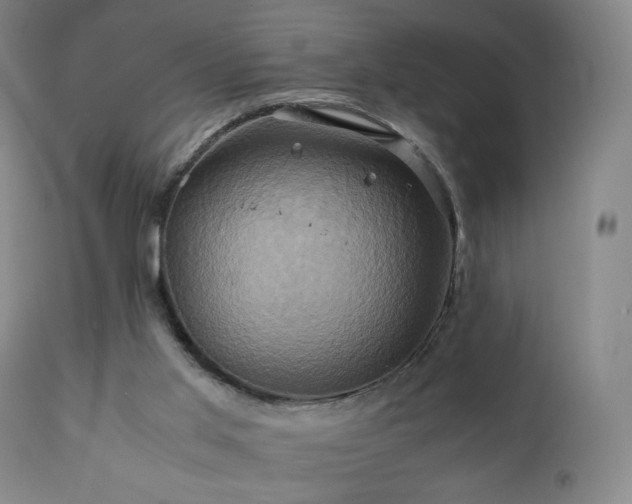 X0000110970013200906191346