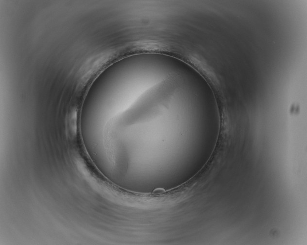 X0000110970014200906191346