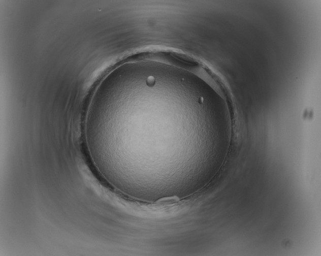 X0000110970015200906191346