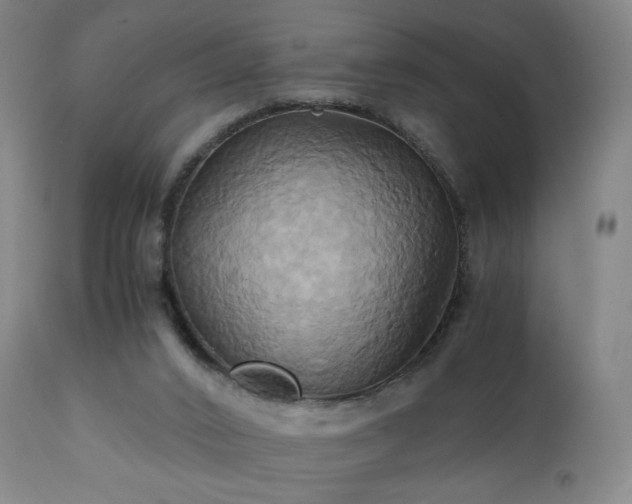 X0000110970016200906191346