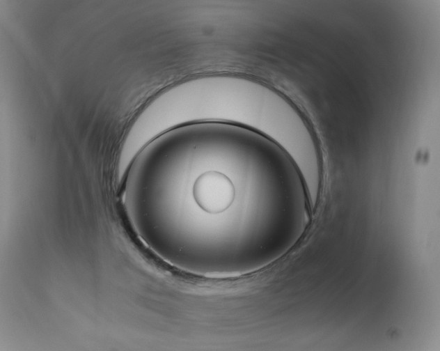 X0000110970017200906191346