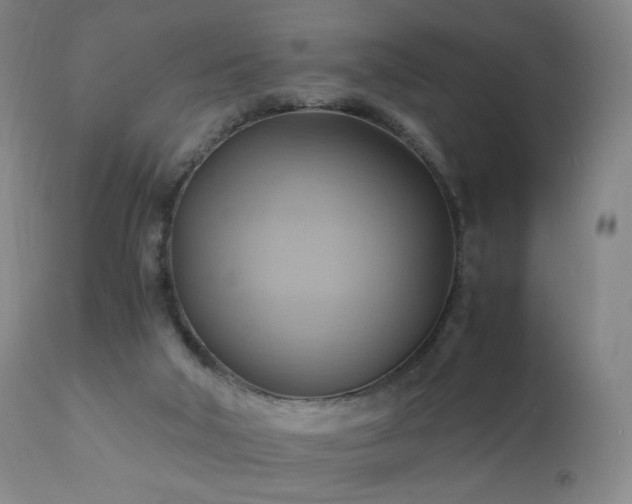 X0000110970018200906191346