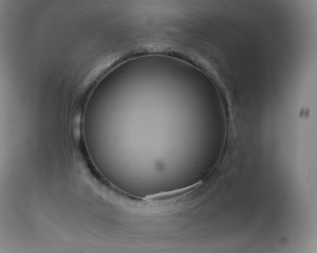 X0000110970019200906191346