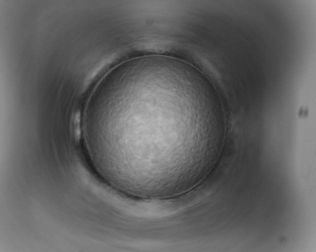 X0000110970020200906191346