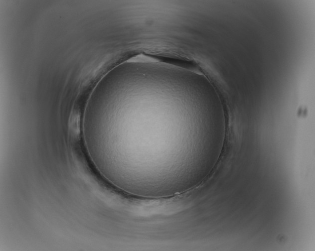 X0000110970021200906191346