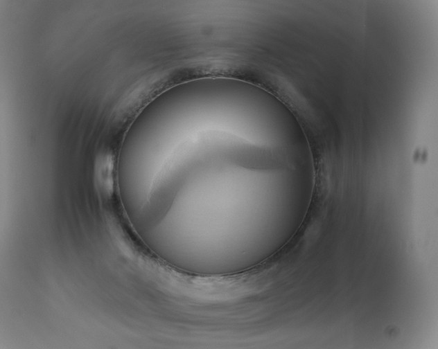 X0000110970022200906191346