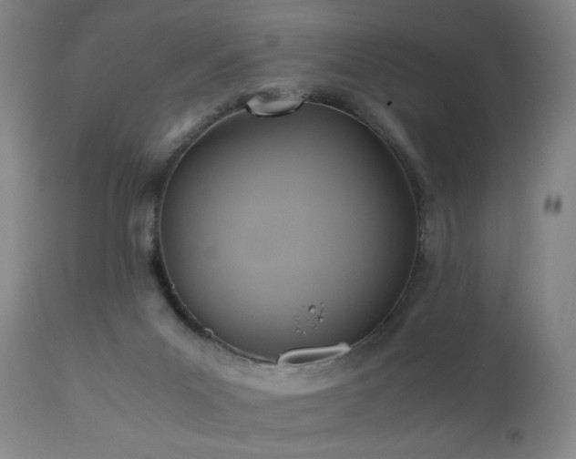 X0000110970023200906191346