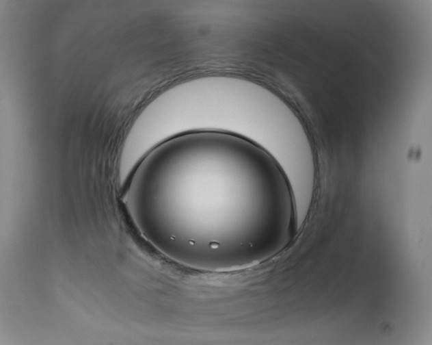 X0000110970025200906191346