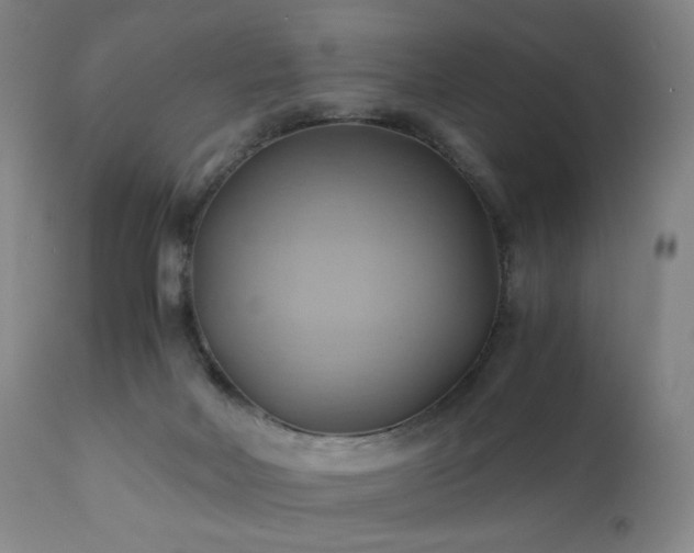 X0000110970026200906191346