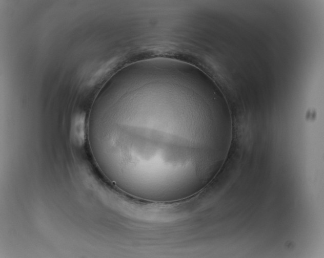 X0000110970028200906191346