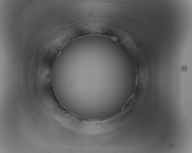 X0000110970029200906191346