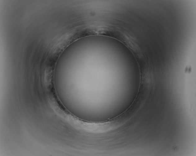 X0000110970030200906191346