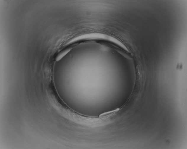 X0000110970031200906191346