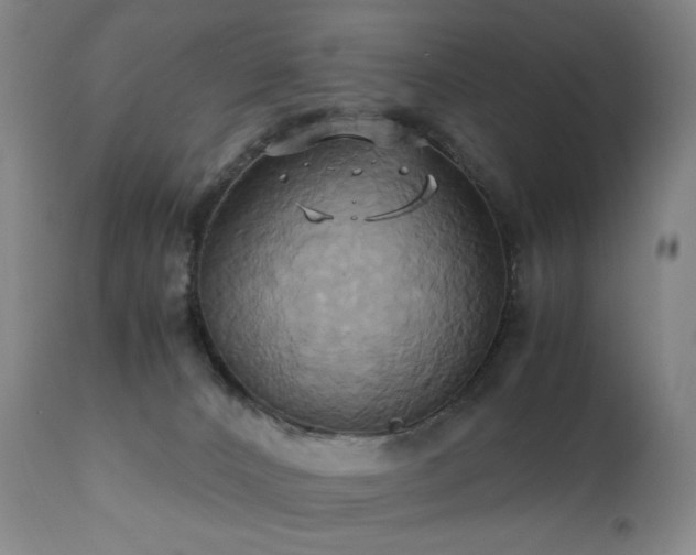 X0000110970032200906191346