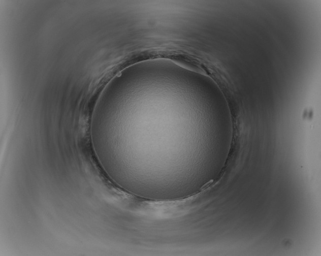 X0000110970033200906191346