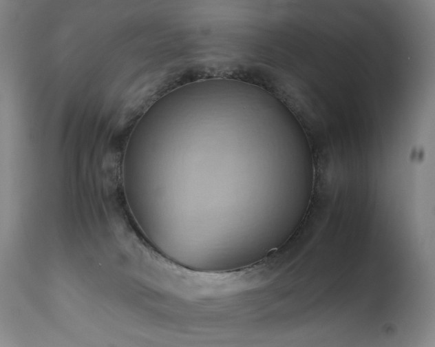 X0000110970034200906191346