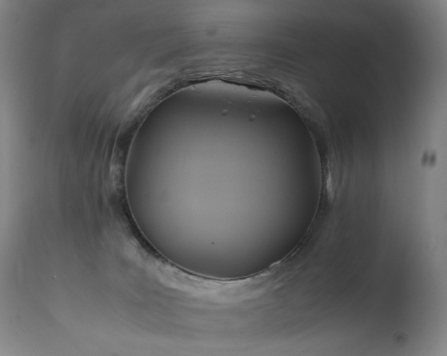 X0000110970035200906191345