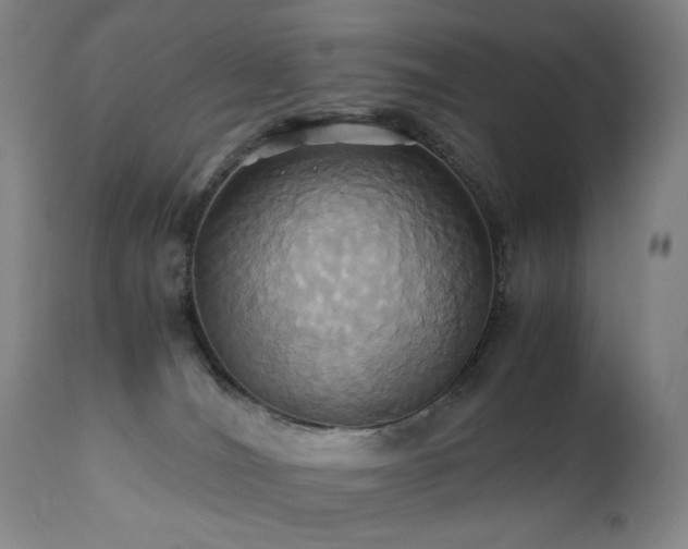 X0000110970036200906191345