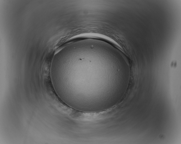 X0000110970037200906191345