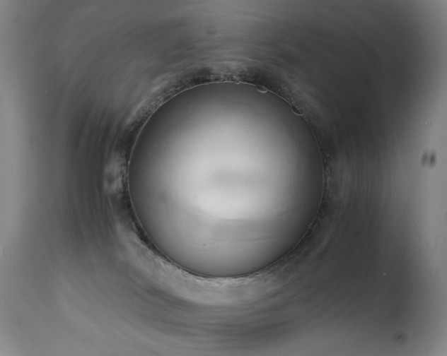 X0000110970038200906191345