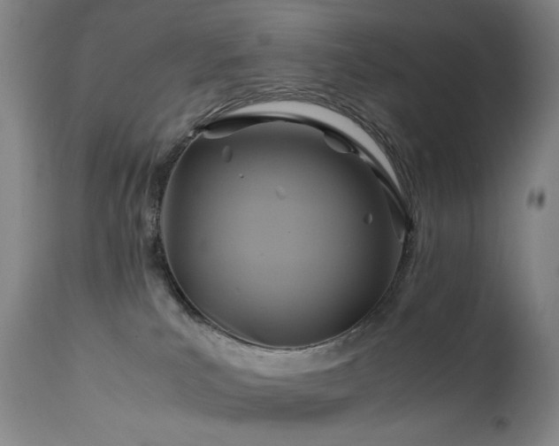 X0000110970039200906191345