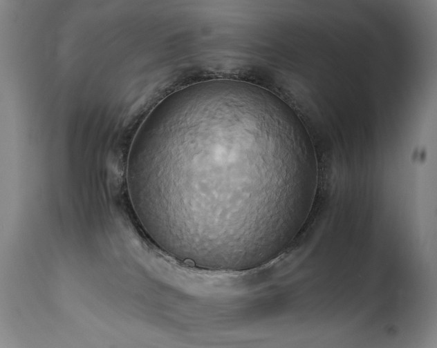 X0000110970040200906191345