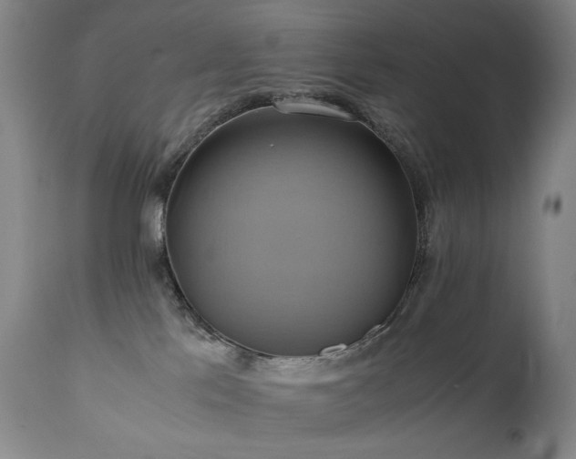 X0000110970041200906191345