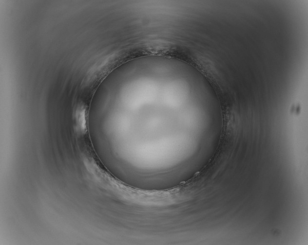 X0000110970042200906191345