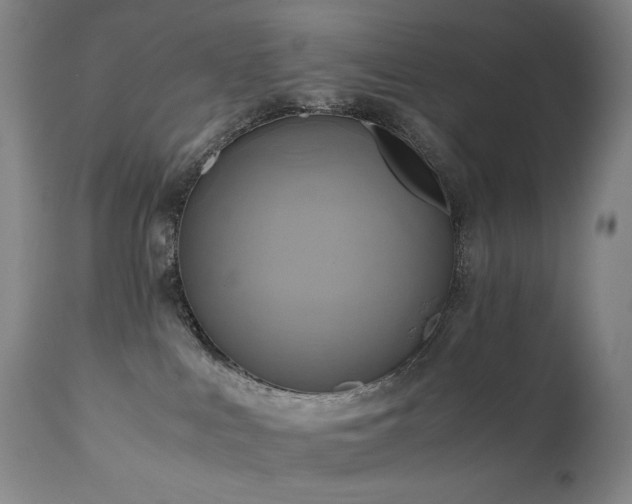 X0000110970043200906191345