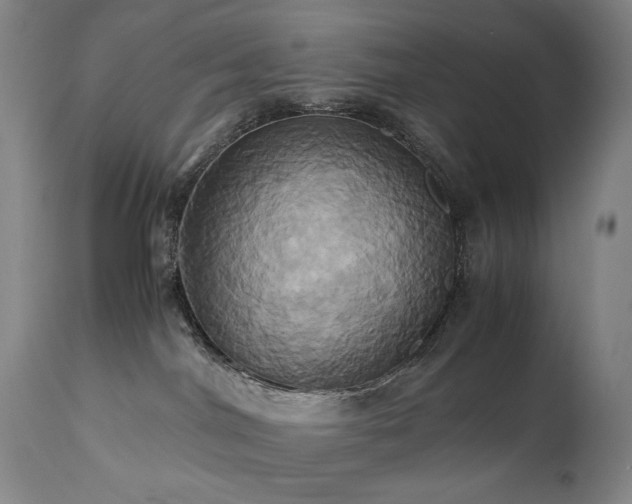 X0000110970044200906191345