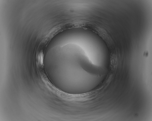 X0000110970046200906191345