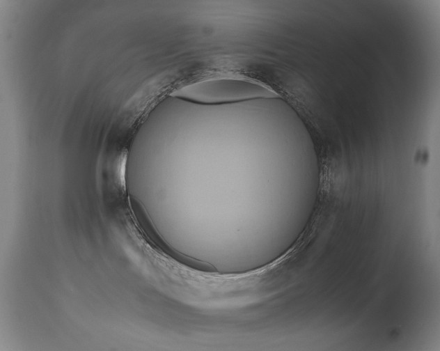 X0000110970047200906191345